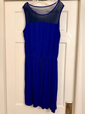 The Limited Royal Blue Sleeveless Dress with Mesh Yoke